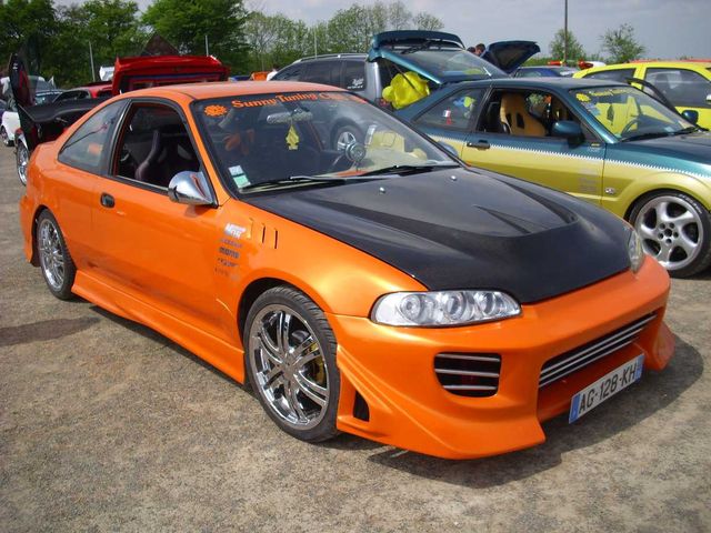 delsol